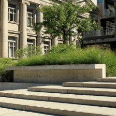 Gardiner Museum Steps