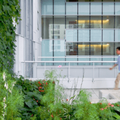 sustainable landscape architecture project in Toronto