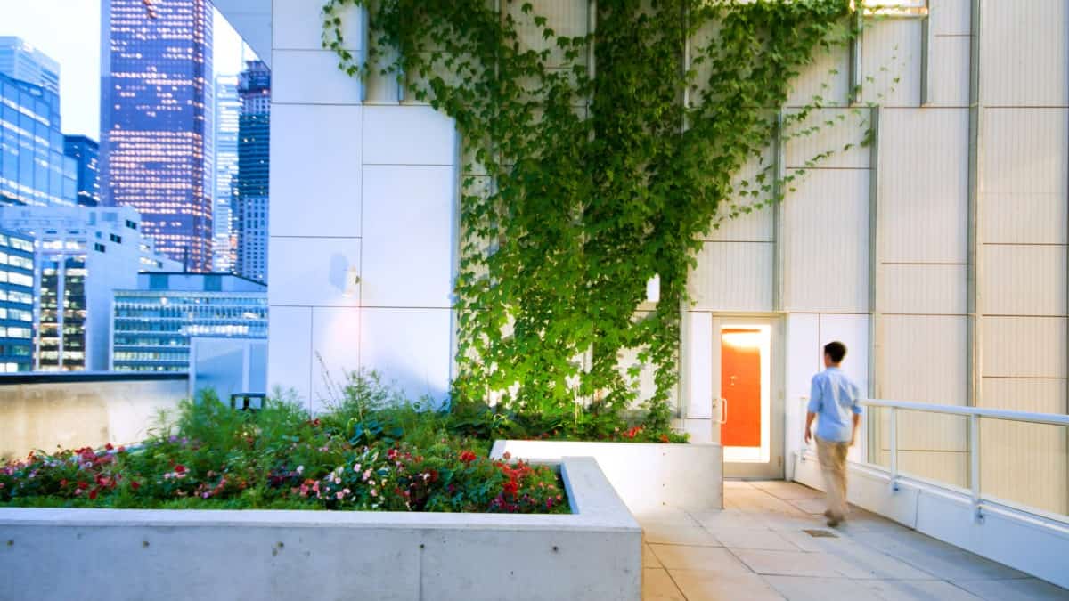 Image showcasing Green Roofs: a Key Ingredient to Happier & Healthier Cities - NAK